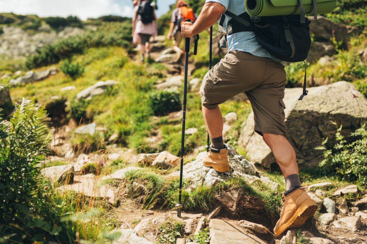 ความแตกต่าง hiking กับ trekking